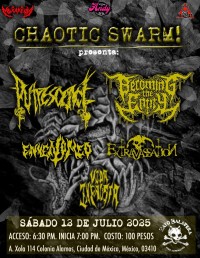 chaotic swarm 
